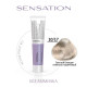 Estel De Luxe SENSATION Безаммиачная краска для волос 10/17 светлый блондин пепельно-коричневый, 60мл.