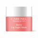 Care:Nel Маска для губ ночная с ягодным комплексом – Berry lip night mask, 5г