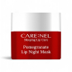 Care:Nel Маска для губ ночная с гранатом - Pomegranate lip night mask, 5г