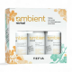 TEFIA Ambient Набор для ухода за поврежденными волосами Revival Damage Hair Care Kit, 250 мл x 3